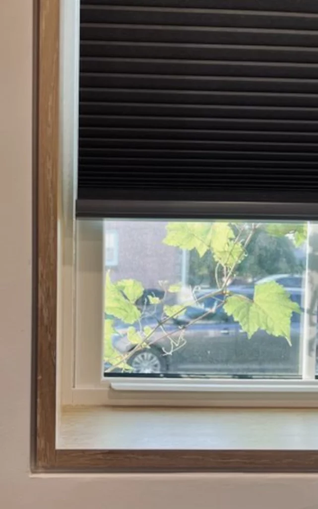 Window Casing 1